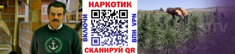 Купить Чернушка мега ссылка  Cocaine  Амфетамин  МАРИХУАНА  ГАШ  Alpha-PVP 