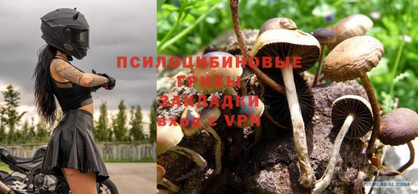 apvp Протвино