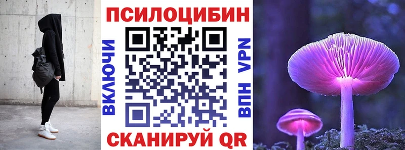 Псилоцибиновые грибы Magic Shrooms  Чернушка 